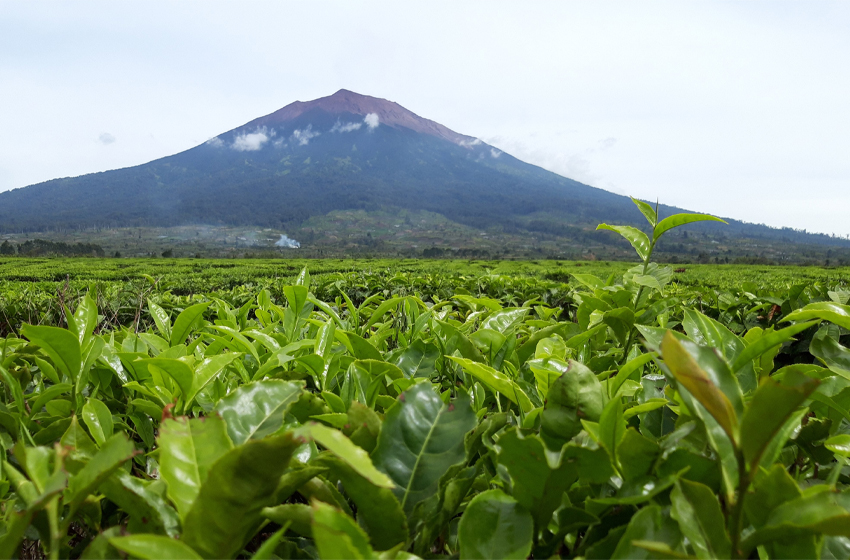 Gunung Popular Di Sumatera