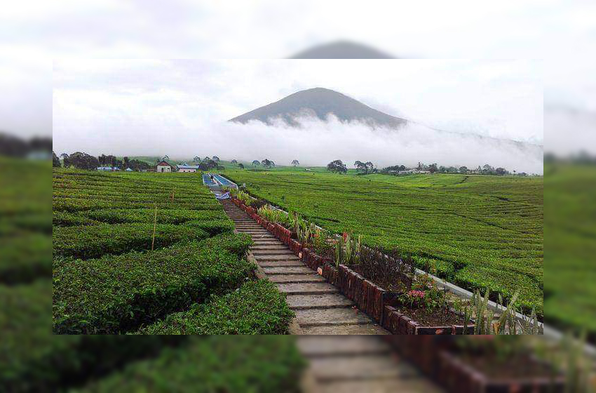 Gunung Impian Di Sumatera