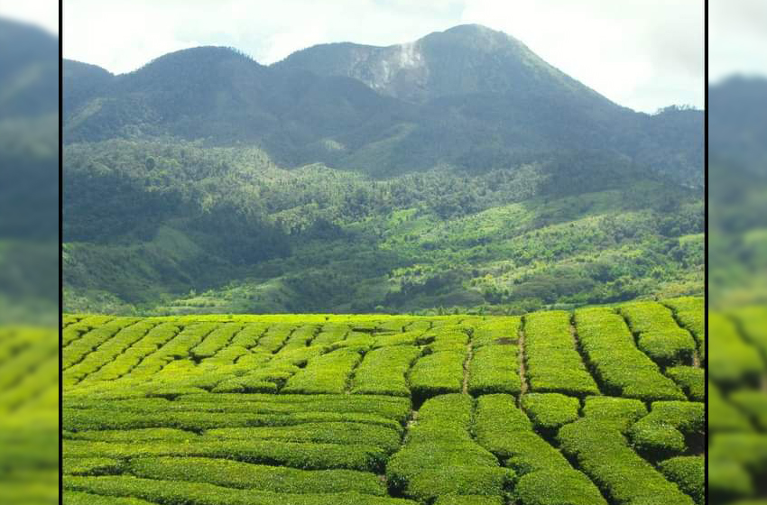 Gunung Popular Di Sumatera